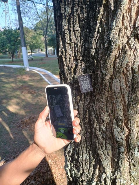 Etiqueta de QR code do Inventário Arbóreo em uma árvore do bairro