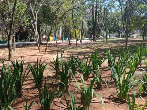 Praça arborizada do bairro City Boaçava