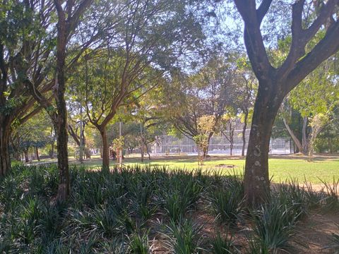 Área verde e quadra esportiva de uma praça do City Boaçava